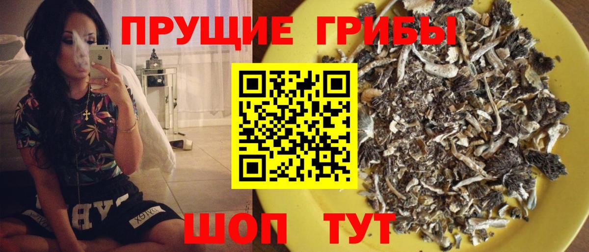 Урай  Галлюциногенные грибы мухоморы  Галлюциногенные грибы Psilocybe  Вход с VPN 