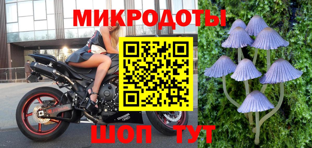 Галлюциногенные грибы Magic Shrooms Урай